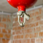Fire Sprinkler System